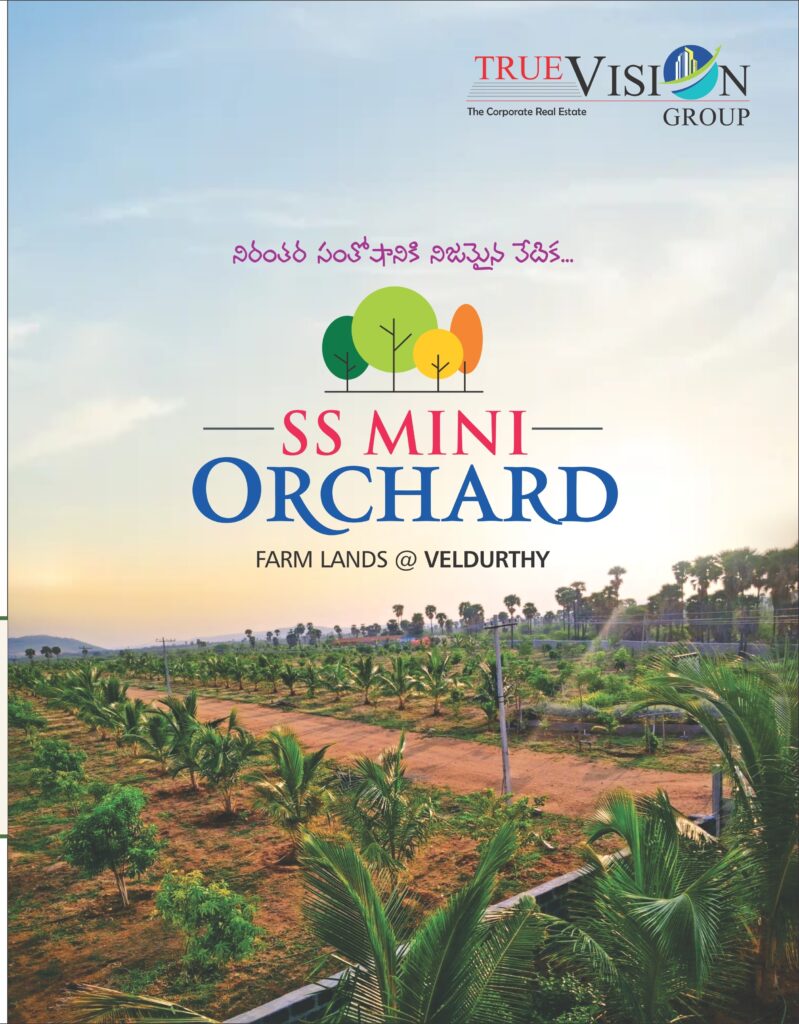 residential layouts in Kurnool,