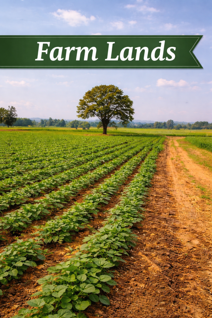 farm lands in kurnool
